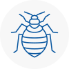 Bed Bug Extermination In Acocks Green